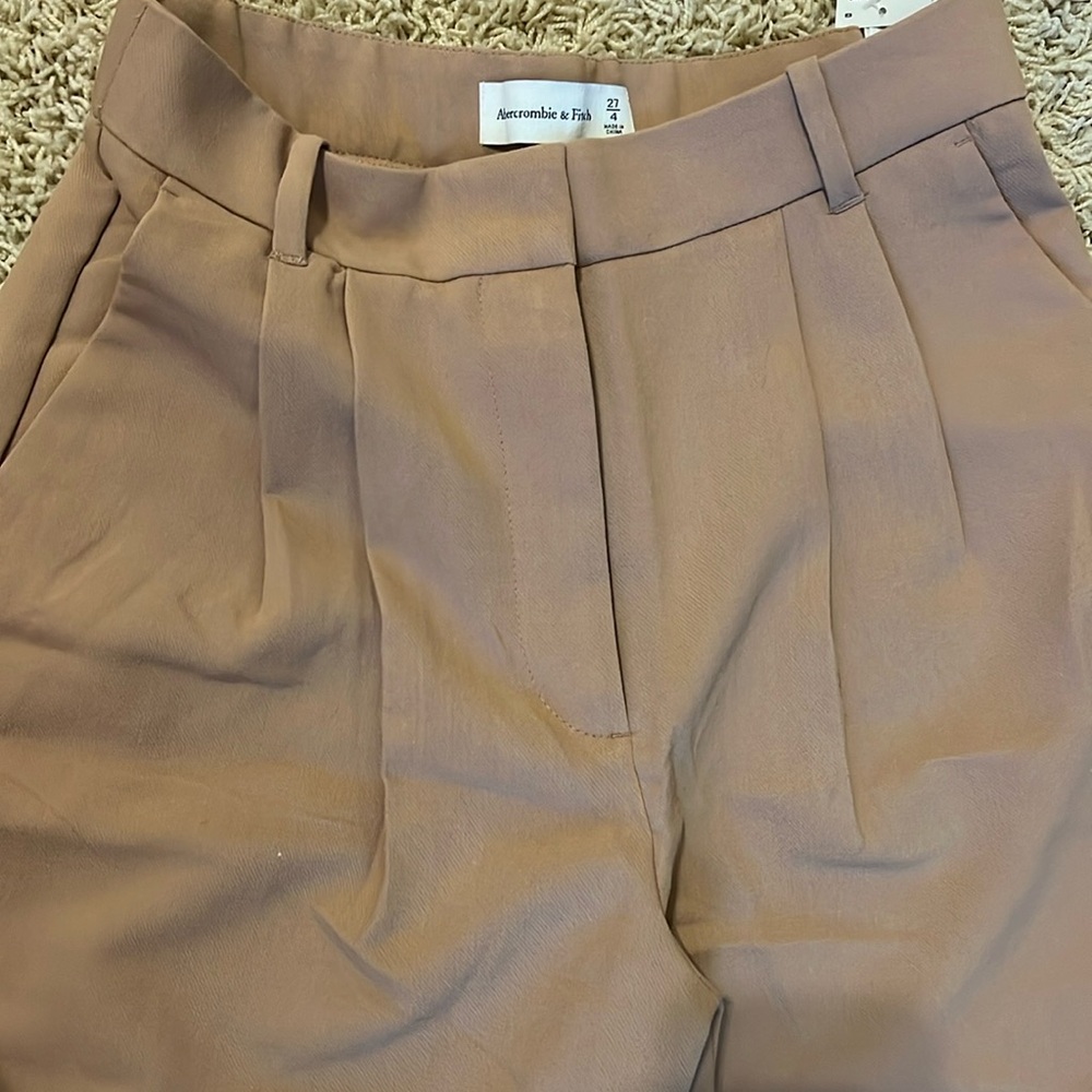 Abercrombie & Fitch Taupe Wide-Leg Pleated Trousers - Picture 4 of 8